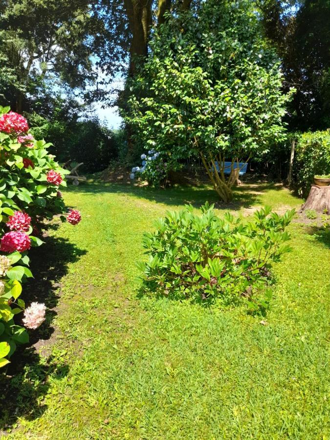 Bed and Breakfast La Clairière du Seignanx à Saint-Martin-de-Seignanx Extérieur photo