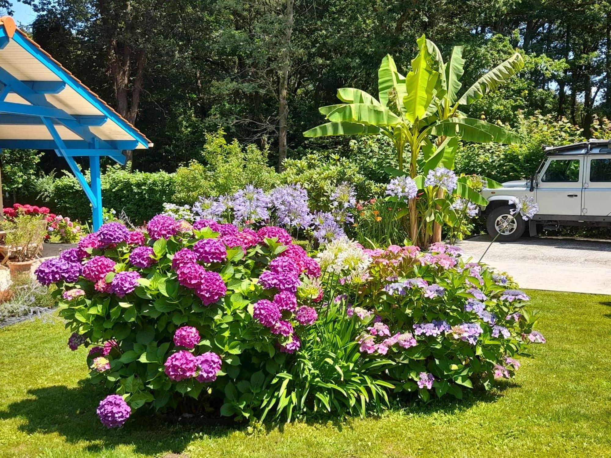 Bed and Breakfast La Clairière du Seignanx à Saint-Martin-de-Seignanx Extérieur photo