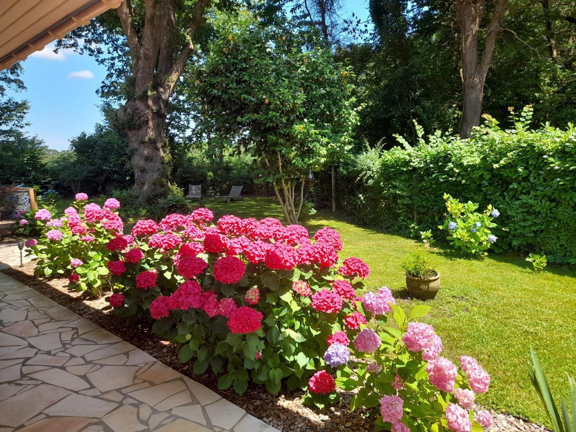Bed and Breakfast La Clairière du Seignanx à Saint-Martin-de-Seignanx Extérieur photo