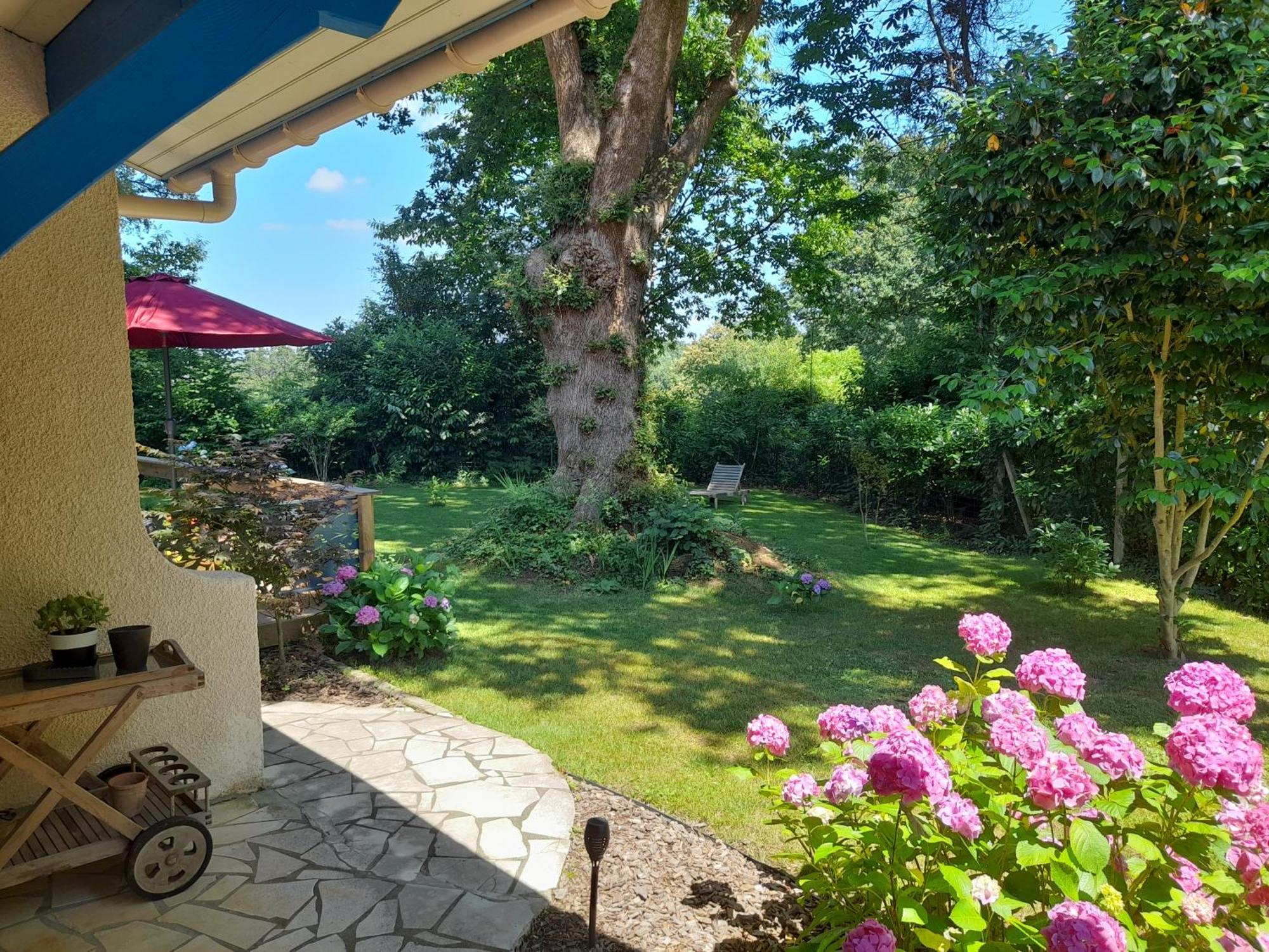 Bed and Breakfast La Clairière du Seignanx à Saint-Martin-de-Seignanx Extérieur photo